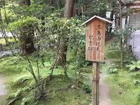 狭井神社の写真・動画_image_368378