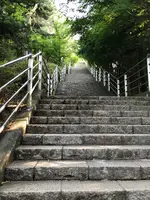 新倉山浅間公園の写真・動画_image_368387
