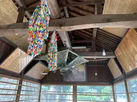 阿智神社の写真・動画_image_368610