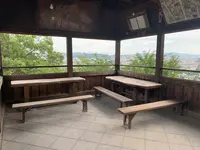 阿智神社の写真・動画_image_368612