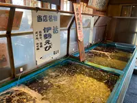 かねなかの写真・動画_image_368711