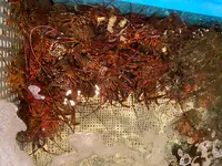 かねなかの写真・動画_image_368712