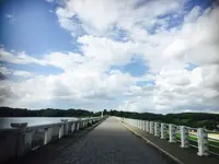 狭山湖の写真・動画_image_368840