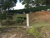 熊本城の写真・動画_image_368873