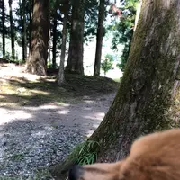 熊野本宮大社大鳥居の写真・動画_image_368902