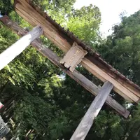 熊野本宮大社の写真・動画_image_368904