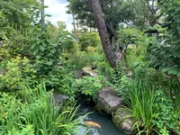 新渓園の写真・動画_image_369147