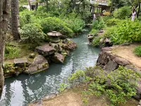 新渓園の写真・動画_image_369148