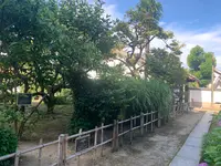 旧野﨑家住宅の写真・動画_image_369415