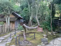 旧野﨑家住宅の写真・動画_image_369425