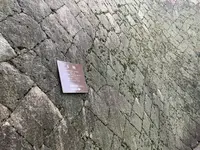 旧野﨑家住宅の写真・動画_image_369426