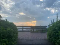 鷲羽山水島展望台の写真・動画_image_369456