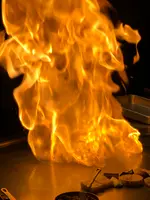 西中洲たかしるやの写真・動画_image_369800
