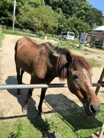 緑の農園直売店にぎやかな春の写真・動画_image_369812
