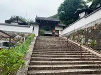 照蓮寺の写真・動画_image_370420