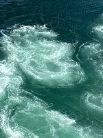 渦の道の写真・動画_image_370801