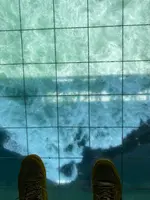 渦の道の写真・動画_image_370802