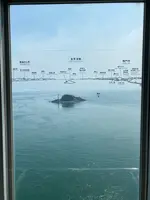 渦の道の写真・動画_image_370803