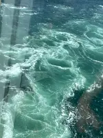 渦の道の写真・動画_image_370804