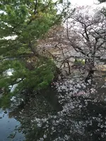 阪急夙川駅の写真・動画_image_371024