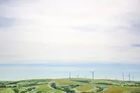 白い貝殻の道の写真・動画_image_371083