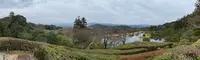 修学院離宮の写真・動画_image_371097