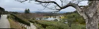 修学院離宮の写真・動画_image_371098