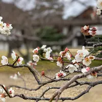 桂離宮の写真・動画_image_371101