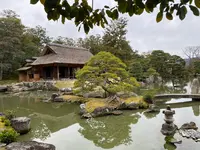 桂離宮の写真・動画_image_371121
