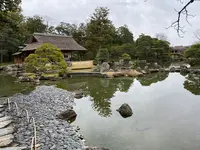 桂離宮の写真・動画_image_371122