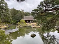 桂離宮の写真・動画_image_371129
