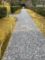 桂離宮の写真・動画_image_371134