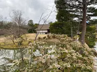 桂離宮の写真・動画_image_371140