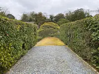 桂離宮の写真・動画_image_371144