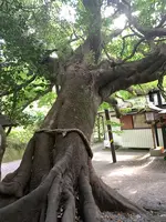 八大龍王水神の写真・動画_image_371224