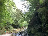 天安河原の写真・動画_image_371233