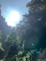 高千穂峡の写真・動画_image_371241