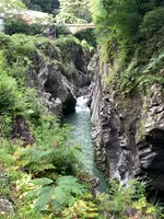 高千穂峡の写真・動画_image_371245