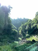 高千穂峡の写真・動画_image_371254