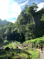 高千穂峡の写真・動画_image_371258