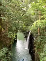 高千穂峡の写真・動画_image_371262