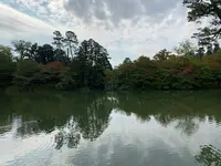 仙洞御所の写真・動画_image_371283