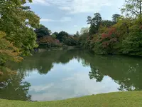 仙洞御所の写真・動画_image_371285