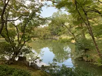 仙洞御所の写真・動画_image_371286