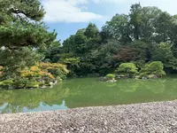 仙洞御所の写真・動画_image_371296