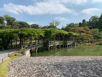 仙洞御所の写真・動画_image_371298