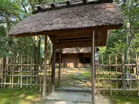 仙洞御所の写真・動画_image_371299