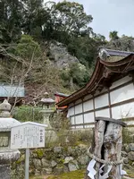 松尾大社の写真・動画_image_371322