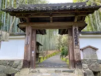 地蔵院（竹の寺）の写真・動画_image_371324
