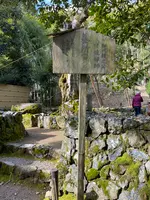 地蔵院（竹の寺）の写真・動画_image_371332
